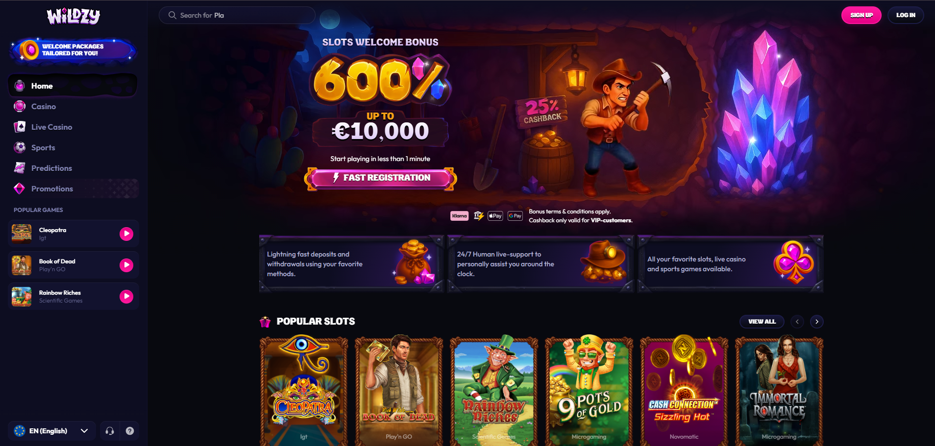 wildzy interface 1