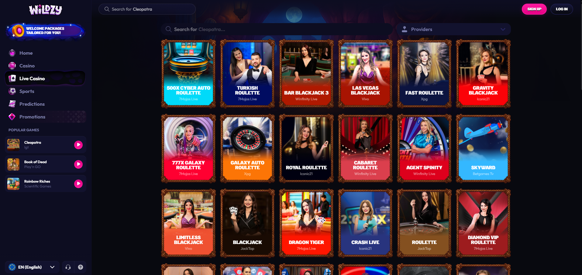 wildzy interface 3